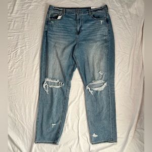 AE Mom Jean - Cool Classic